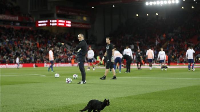 Kucing Hitam dan Taktik Bertahan Jose Mourinho